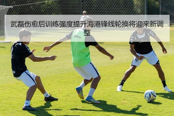 武磊伤愈后训练强度提升海港锋线轮换将迎来新调整 | KAIYUN